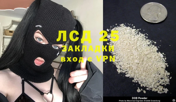 ALPHA PVP Каменка