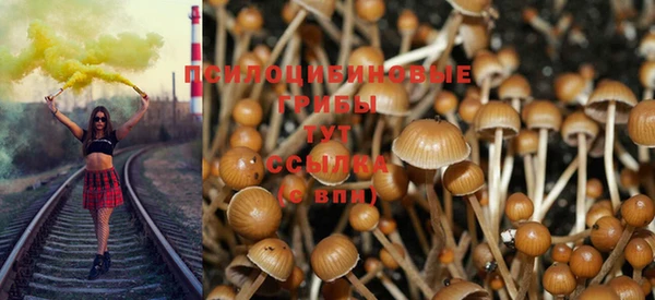 COCAINE Каменск-Шахтинский