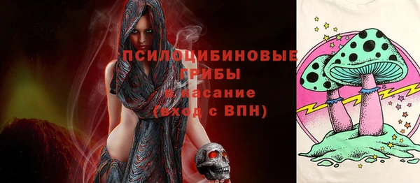 ALPHA PVP Каменка