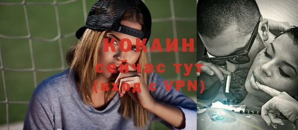 ALPHA PVP Каменка