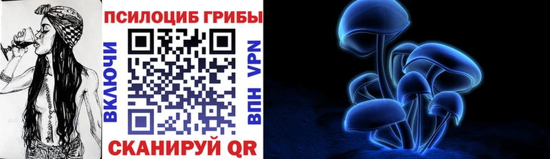Купить где  Медынь  Псилоцибиновые грибы Psilocybe 